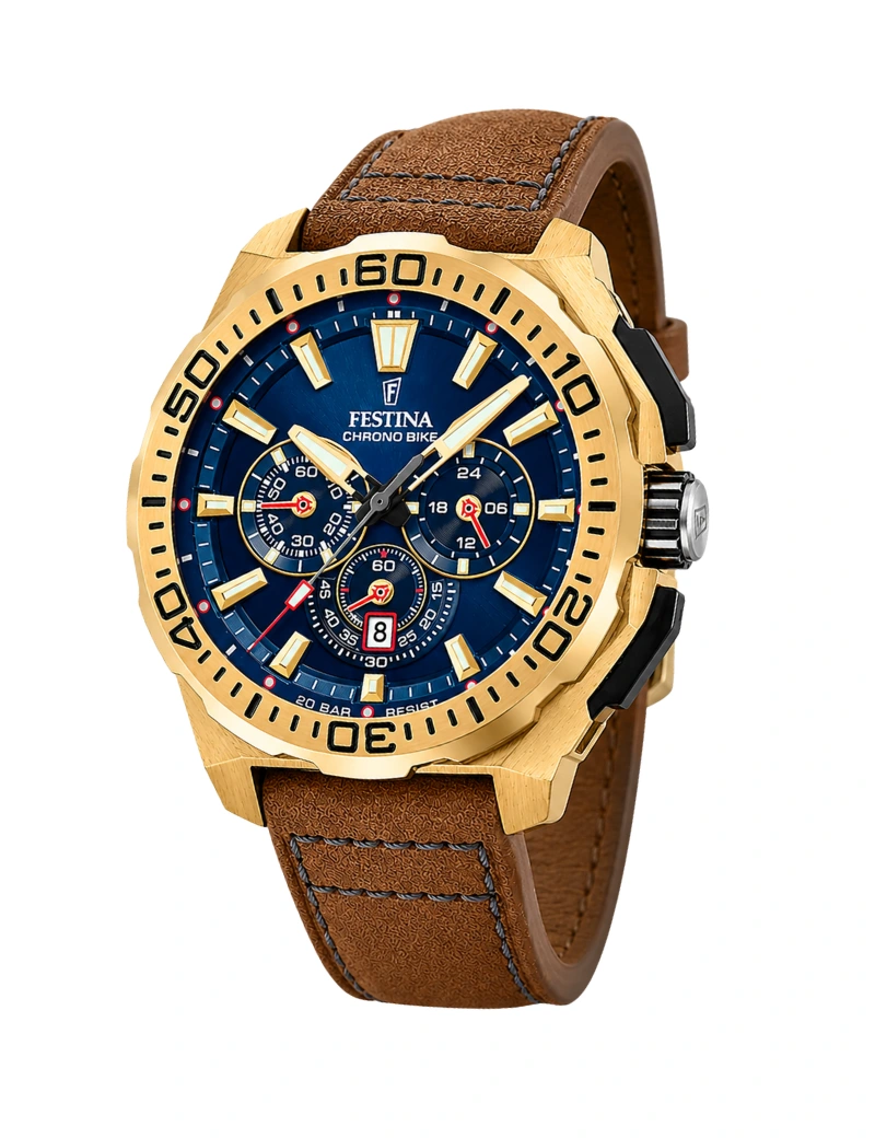 Reloj Festina DORADO PULSO CUERO F20728/1