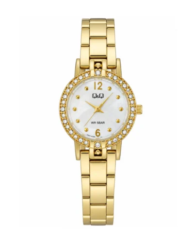Reloj Q&Q Q99B501PY